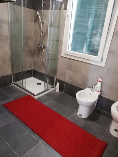 Hair dryer, bidet, towels, soap