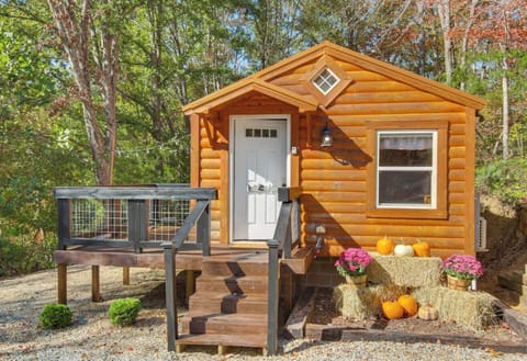 Front Side of Cabin