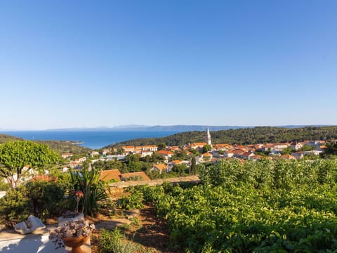 Plant, Sky, Plant Community, Flowerpot, Azure, Natural Landscape, Building, Horizon, Landscape, Tree