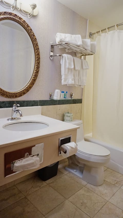 Combined shower/tub, free toiletries, hair dryer, towels