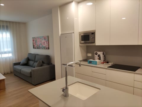 Basic Apartment | Private kitchen | Full-size fridge, microwave, oven, stovetop