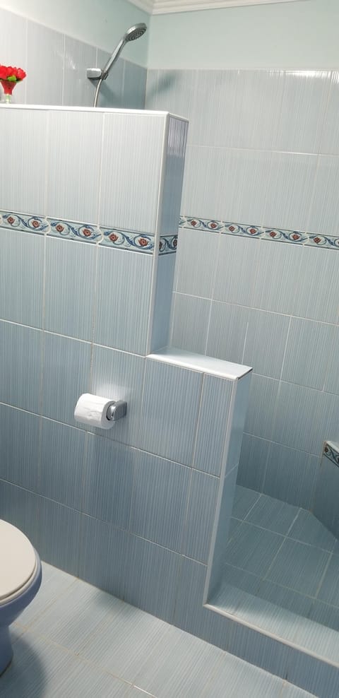 Premium Double Room | Bathroom | Shower, rainfall showerhead, hair dryer, towels