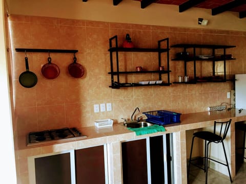 Basic Loft | Private kitchen | Full-size fridge, cookware/dishes/utensils, dining tables