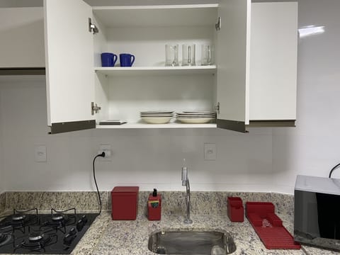 Family Apartment | Private kitchen | Fridge, microwave, blender, cookware/dishes/utensils