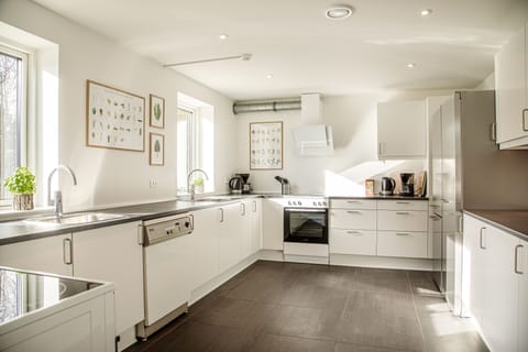 Comfort Double Room, 1 Bedroom | Private kitchen | Fridge, oven, stovetop, electric kettle