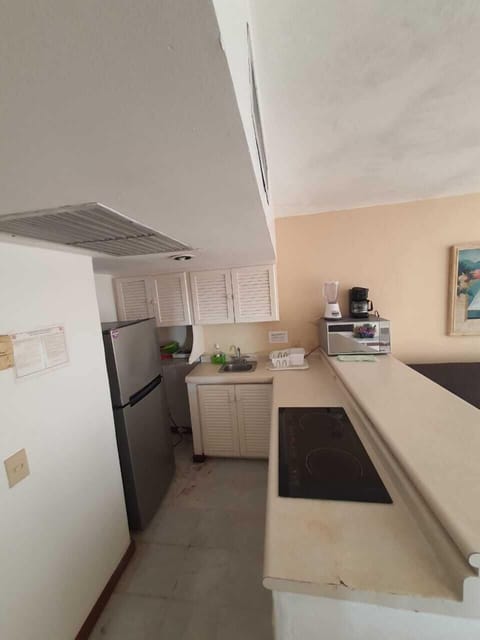 Family Apartment | Private kitchen | Full-size fridge, microwave, coffee/tea maker, rice cooker