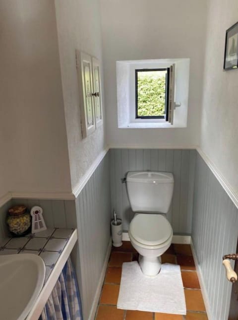 Shower, towels, toilet paper