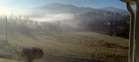 View from the front (back) door of rental.