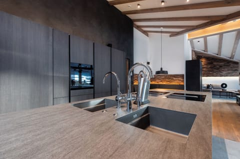 Deluxe Penthouse-Apartment 3A | Private kitchen | Fridge, oven, stovetop, dishwasher