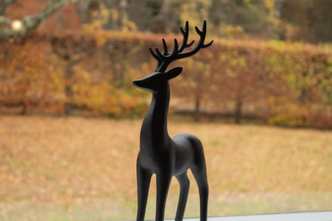 Highland inspired decor