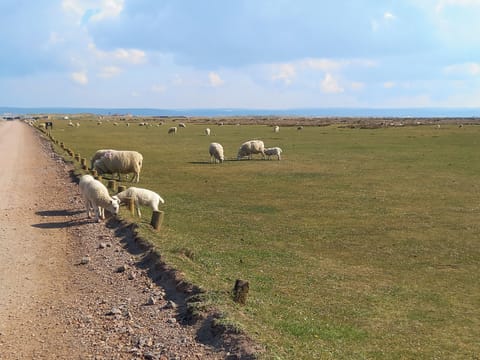 Surrounding area | Point Break, Westward Ho, near Bideford