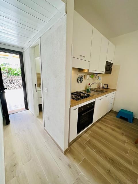 Apartment | Private kitchenette | Full-size fridge, microwave, oven, stovetop