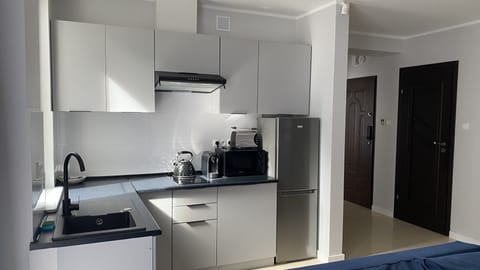 Deluxe Apartment | Private kitchen | Full-size fridge, microwave, stovetop, toaster