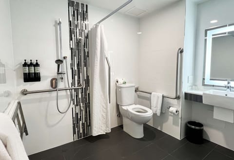 Combined shower/tub, free toiletries, hair dryer, towels