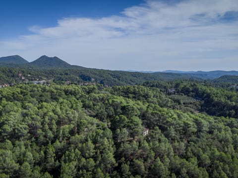 Region [summer] (&gt;5 km)