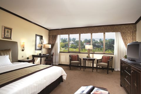 Superior Room | View from room