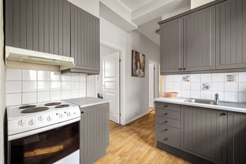City Apartment | Private kitchen | Fridge, oven, stovetop, dishwasher