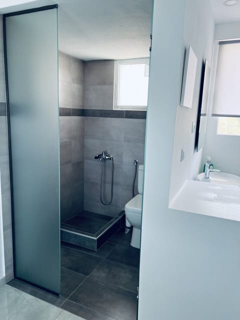 Deluxe Suite 104 | Bathroom | Shower, hair dryer, towels, soap