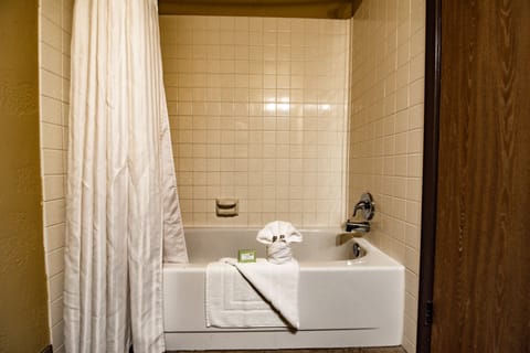 Traditional Room | Bathroom | Combined shower/tub, free toiletries, hair dryer, towels