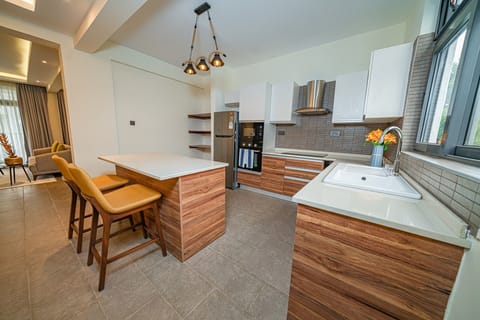 Duplex | Private kitchen | Full-size fridge, microwave, oven, coffee grinder