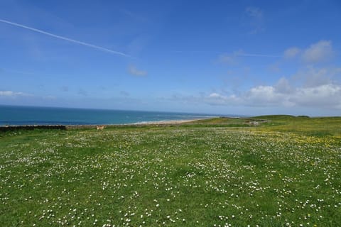 Immediate Surroundings [summer] (&lt;1 km)