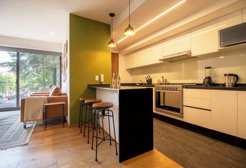 Deluxe Apartment | Private kitchen | Fridge, microwave, oven, stovetop