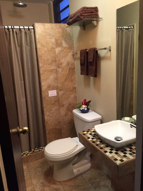 EPH1 | Bathroom | Shower, rainfall showerhead, towels, soap