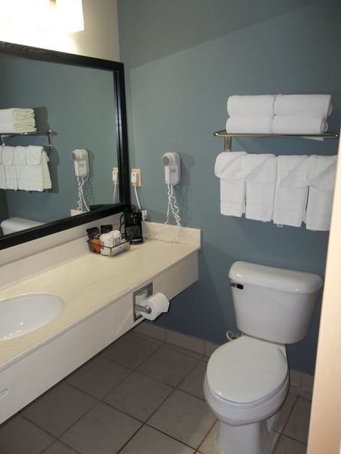 Combined shower/tub, free toiletries, hair dryer, towels