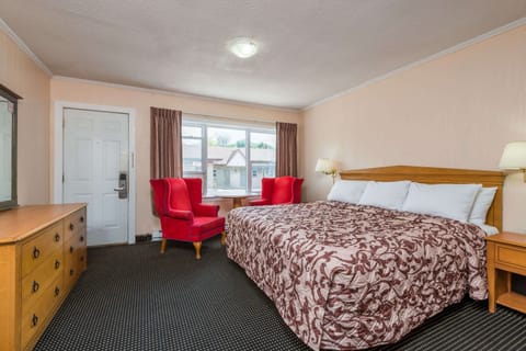 Room, 1 King Bed | Desk, soundproofing, iron/ironing board, free WiFi