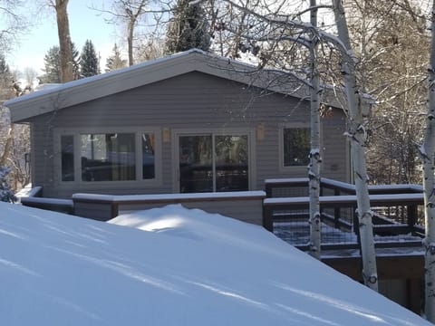 The Aspen Grove deck from the top of the snow-covered carport.  