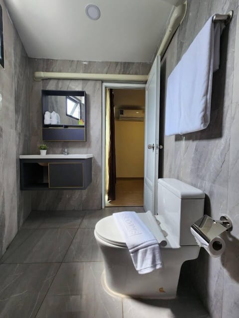 Deluxe Suite | Bathroom | Shower, bidet, towels