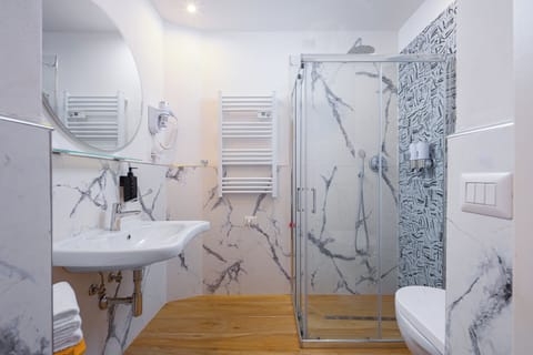 Shower, hair dryer, bathrobes, bidet