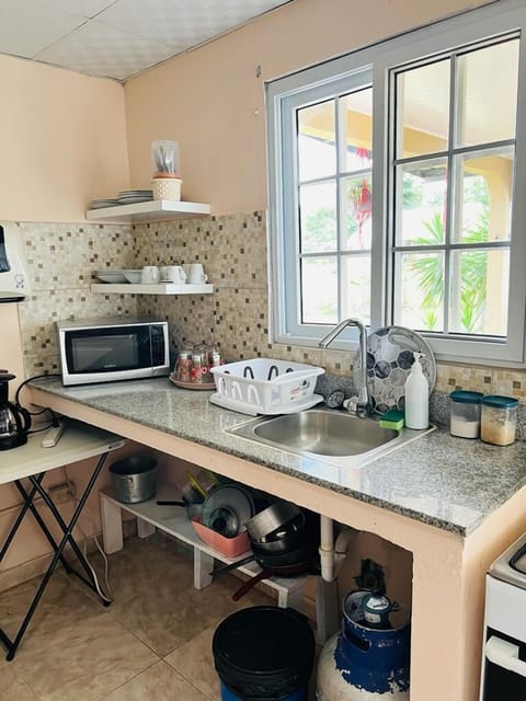 Family Studio | Private kitchen | Fridge, microwave, oven, blender