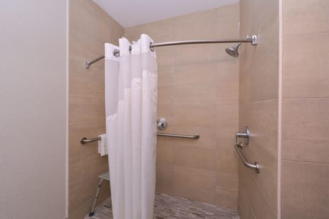 Combined shower/tub, free toiletries, hair dryer, towels