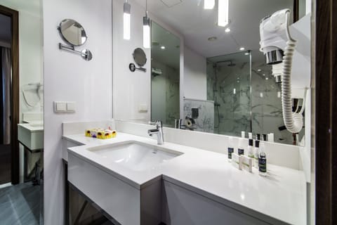 Business Apartment | Bathroom | Free toiletries, hair dryer, bathrobes, towels