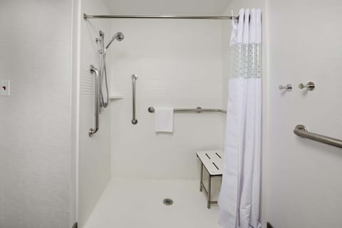 Room, 1 King Bed, Accessible, Non Smoking | Bathroom shower