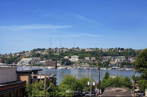 Views from rooftop deck!