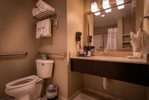 Deluxe with 1 Queen Bed ADA | Bathroom | Combined shower/tub, free toiletries, hair dryer, towels