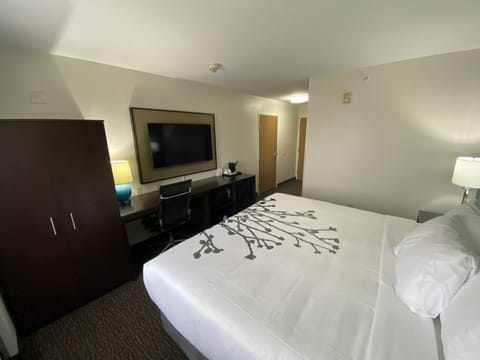 Room, 1 King Bed, Accessible, Non Smoking | Premium bedding, pillowtop beds, individually furnished, desk