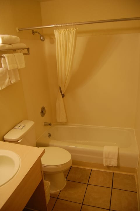 Suite, Kitchenette | Bathroom shower