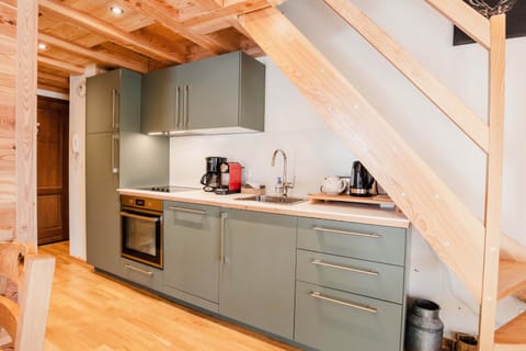 Gomontgenevre apartment loupblanc jan23 6