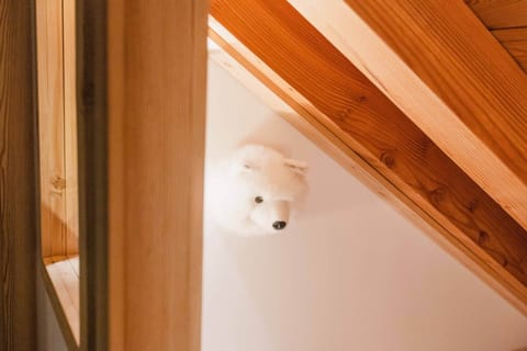 Gomontgenevre apartment loupblanc jan23 18