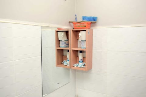 Apartment | Bathroom | Shower, towels, soap, toilet paper