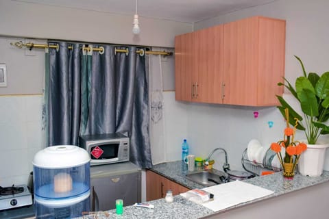 Apartment | Private kitchen | Cookware/dishes/utensils, cleaning supplies