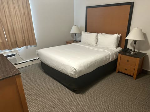 Deluxe Single Room | Premium bedding, pillowtop beds, blackout drapes, free WiFi