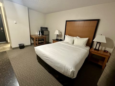 Deluxe Single Room | Premium bedding, pillowtop beds, blackout drapes, free WiFi