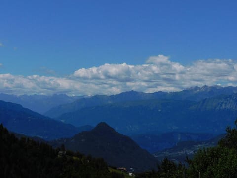 View from the window