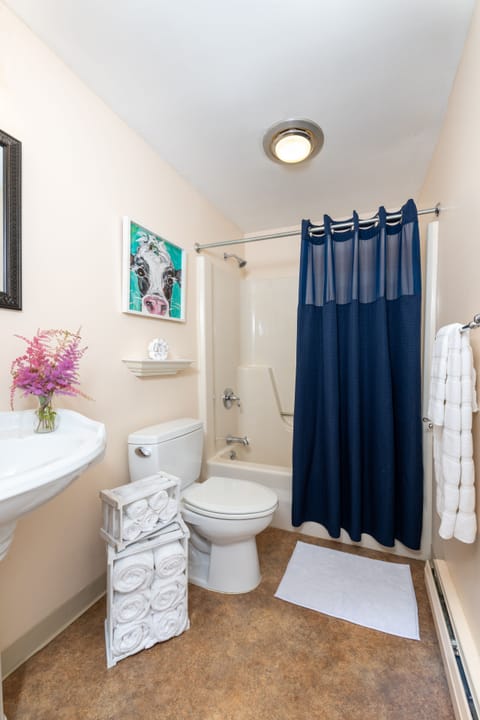 Premium-1 King | Bathroom | Combined shower/tub, free toiletries, hair dryer, towels