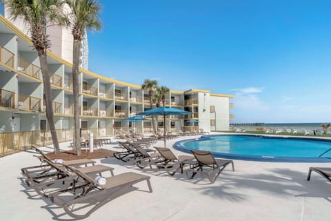 Outdoor pool, sun loungers