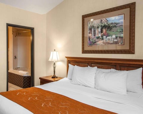 Combined shower/tub, free toiletries, hair dryer, towels